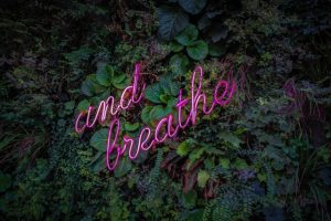 Picture of neon words "and breathe" in a plant background