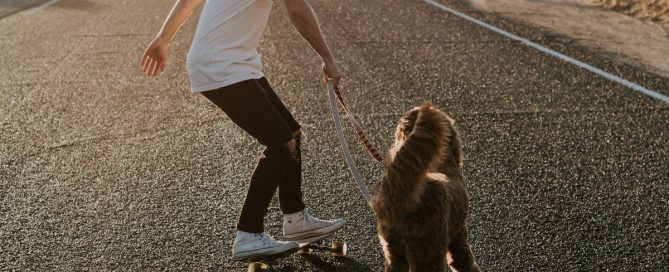 Picture of man skateboarding with dog on leash beside him.